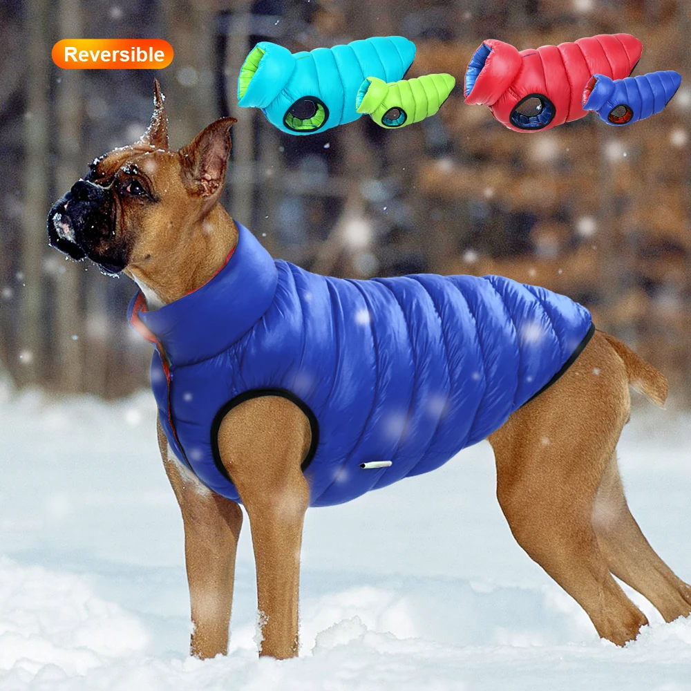 Winter Clothing Layers - Caldo inverno vestiti per cani gilet